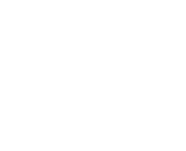 logo3